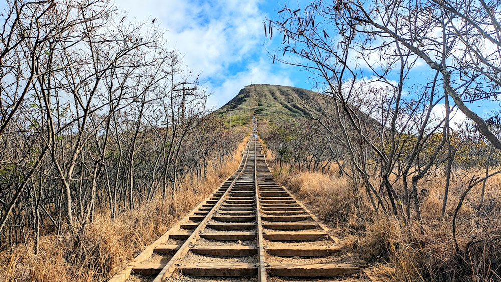 an old wooden railroad is surrounded by leave-less trees branches and yellowed grass, it seems to be going higher and higher up a steep crater mountain. In the distance, you can see small specks that are people walking on the tramway