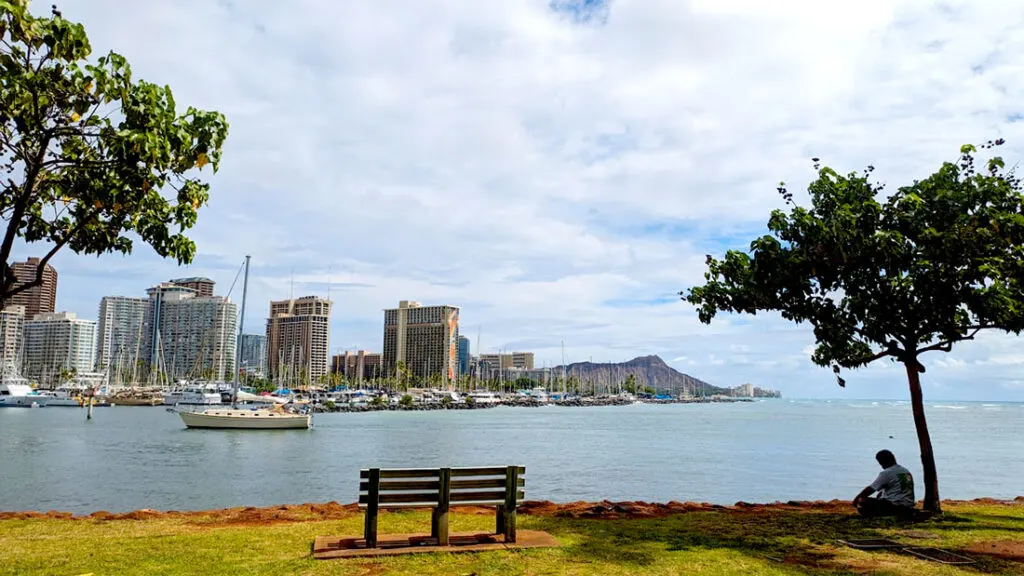 a gorgeous view from the magic peninsula in Ala Moana Regional Park in Honolulu Oahu. You're on land, on grass, there's a bench in the middle, and two trees on either side. There's a man sitting on the ground under the tree on the right in the shade. He's admiring the view of the ocean as it meets the full harbour of boats. The cityscape is behind it with tall buildings. And all the way on the right edge of the land is diamond head crater sticking out above. 