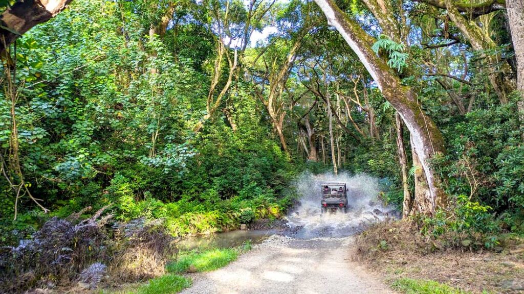 an photo showing that it's more of a ride so it's fun even for passengers as a utv on a dirt road ahead is making a HUGE splash in a puddle as they drive through it. The trees covering the rest of their surroundings