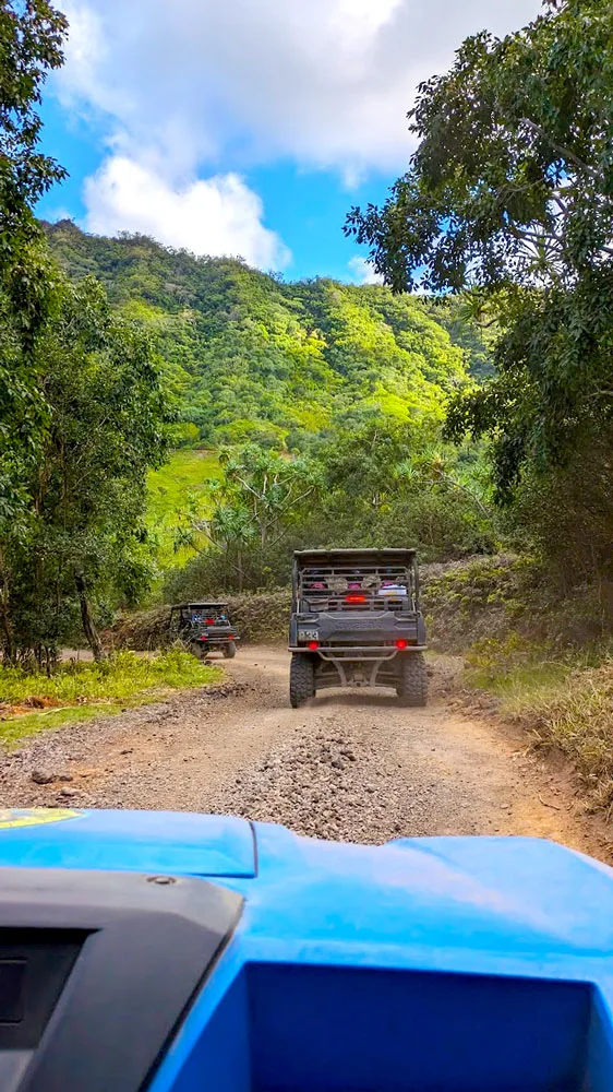 a vertical photo that's sandwiched top to bottom in blue. The bottom is the hood of the UTV car, which is blue. It leads in the gravel dirt road, and you can see two more utvs in front. They are driving further into the tree lined mountain range. The trees above lead your eye into the blue sky. 