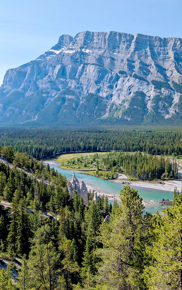 among a layer of trees, you can see three tall and skinny rock formations standing taller. Behind them is a classic banff national park scene: the bow river teal blue rushing from side to side of the photo cutting the image in half. The trees still continue in a field on the other side, even leading up a tall rocky mountain. There's still a bit of snow on the top. But the skies are completely clear.