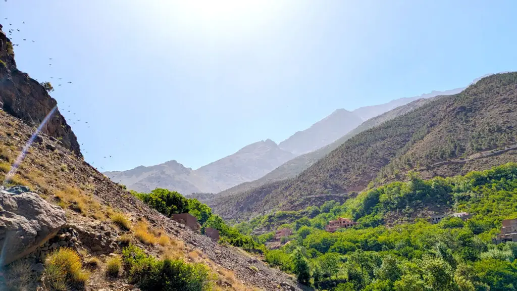 The mountains meeting to form a valley in the middle. Trees rise on on the mountains, but in the distance the mountains look more yellow rocky than green. Birds are flying above the peak on the left, high in the blue skies above. There isn't a cloud in the sky.