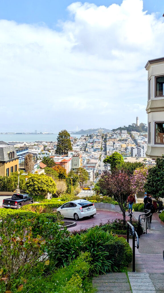 A vertical image of lombard street. The street has red bricks, and two cars are going down. People are walking up the steps next to this crooked street. The cars are driving down towards the rest of the city below. The homes are different soft pastel colours, you can see the bay. Rising above the city are some trees with coit tower at the top. The sky is a big foggy and it's an overcast day.