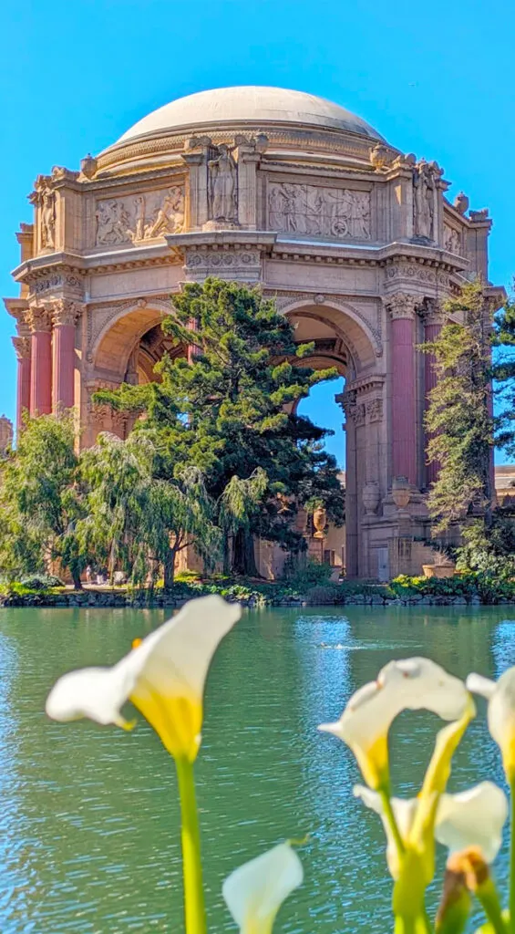 It's astonishing that this building is in San Francisco. It looks like it's straight out of Roman Greek mythology, It's a large domed structure with pinkish concrete and red columns on the side. There are intricate scenes depicted on the top with some statues to separate them. In front of the building are some trees, and finally a pond, which on a calm day would offer a serene reflection. Slightly out of focus are some white and yellow flowers at the bottom adding some brightness.