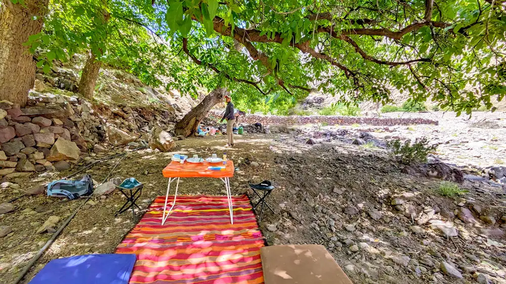 The perfect picnic lunch is set up under a large leafy canopy tree hanging low above the ground. The ground is rocky, but a blanket is set up, with two pillow seats, two small chairs, and a table for two.