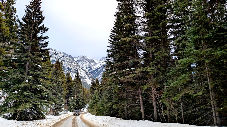 a truck drives through a narrow road in the Canadian Rockies in the winter. Full evergreen trees lines both sides of the road, the banks are covered in snow and the road itself isn't completely cleared. Mountains peak out in the middle as the trees have a break. 