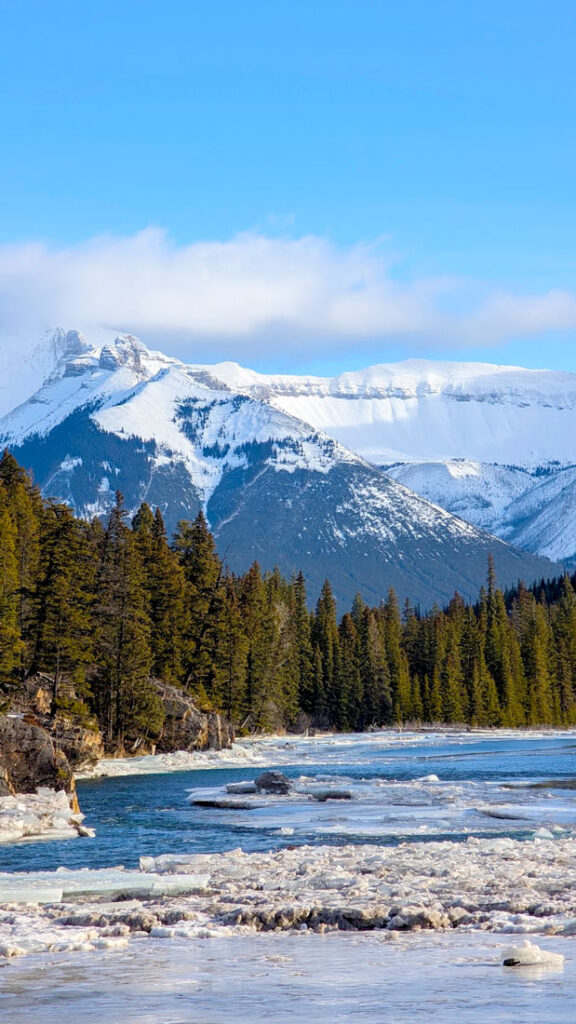 Bow river filled with ice and snow before it hits the evergreen trees. Behind them is a large rocky mountain that is half covered in snow. before leading to the blue sky with one cloud.